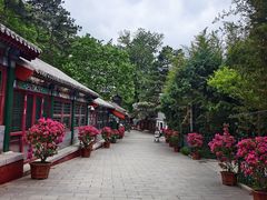 -红螺寺