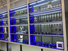 -鲸渝眼镜·浅目视光(春熙路店)