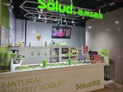 -Salud撒露欧洲冻酸奶(北苑上品店)