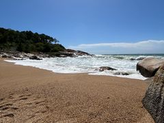 -广东惠东海龟国家级自然保护区