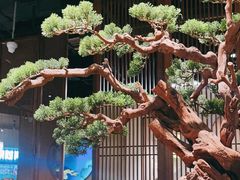 -苏帮袁Sue Cuisine(南开大悦城店)