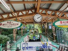 -神户市立六甲山牧场