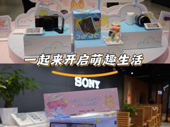 -Sony Store索尼(广州正佳店)