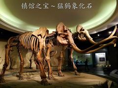 -大庆市博物馆