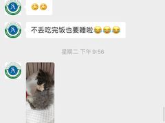 -派美特宠物医院·核磁CT·骨科肿瘤·疑难转诊(沈农禾丰店)