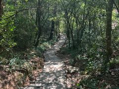 -武夷山风景名胜区-虎啸岩