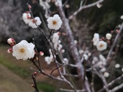 -广州市白云山风景名胜区