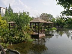 -成飞公园