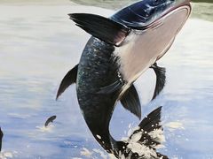 -陈大锅·岳阳鱼馆·地道岳阳菜(美食街店)