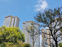 -塔子山公园