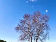 -塞罕坝国家级自然保护区