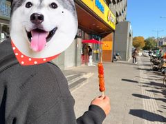 -和禄德冰糖葫芦(东四朝内菜市场店)