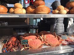 -Fish Hopper