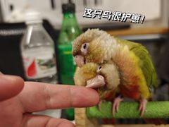 -吾叁·吉趣鸟咖(万科店)