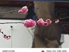 -皇罗禅寺