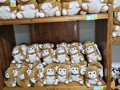 -常州淹城野生动物世界