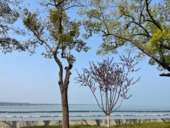-上海美帆帆船露营基地