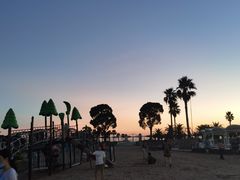 -碧海金沙