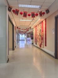 -北京爱育华医院-医疗美容科