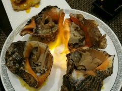 -桃夭日式料理(国信店)