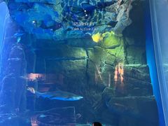 -成都浩海立方海洋公园