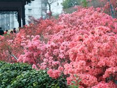 -老门东历史文化街区