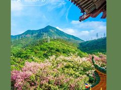 -东莞观音山旅游风景区
