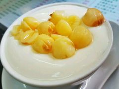 -义顺牛奶公司(新马路老店)
