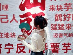 -普宁反沙番薯芋头