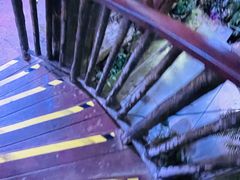 -正佳雨林生态植物园