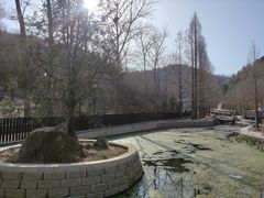 -白水寺森林公园