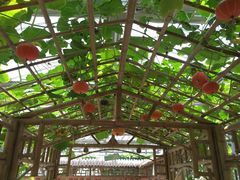 -万源龙顺度假庄园生态观光园