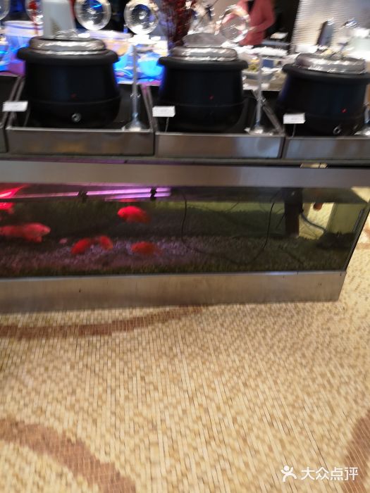 金陵江南大饭店图片