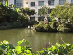 景观位-苏苑饭店-中餐厅(长桥地区店)