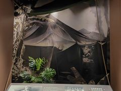 -上海市龙华烈士陵园