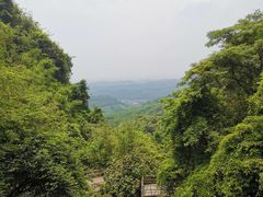 -亚婆田·白水寨生态旅游度假区