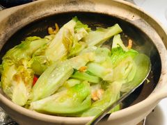 啫啫生菜煲-陶陶居酒家(海岸城店)