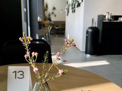 -gaga(深圳南山益田假日广场店)