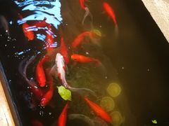 -有才叔的小馆(高新咖啡街区店)