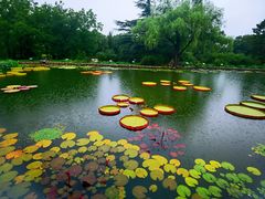 -国家植物园南园