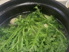 -烹然四季椰子鸡火锅(团结湖总店)