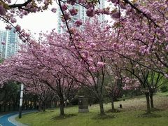 -苏州河梦清园环保主题公园