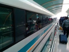 -浦东1号2号航站楼(地铁站)