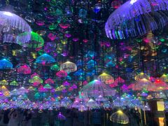 -上海梵高星空艺术馆(南京路旗舰店)