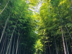 -穹窿山景区