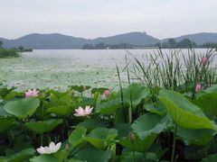 -东湖落雁景区