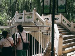 -黄村公园