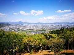 -岚山猴子公园
