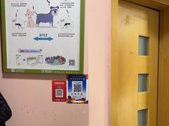 -车接车送·寄养洗护·德文猫舍(大宁店)