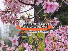 -艾溪湖湿地公园